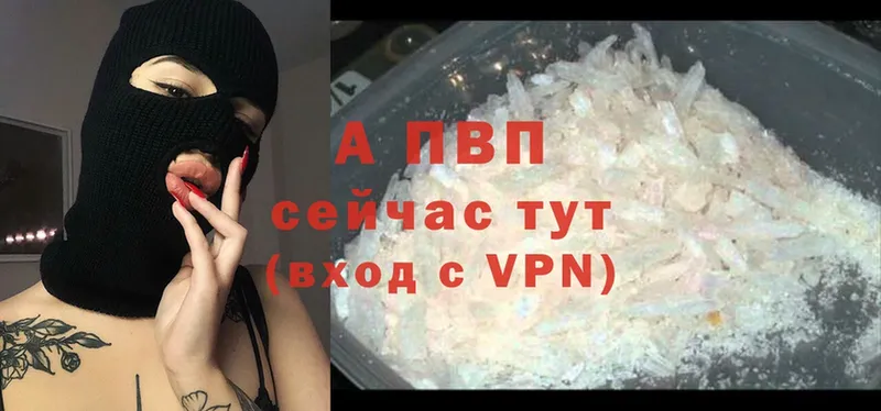 где купить   Мичуринск  A PVP СК КРИС 